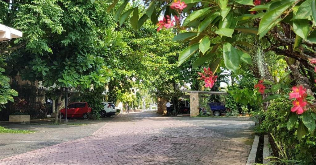 Hotel Sulawesi เจมเบอร์ ภายนอก รูปภาพ