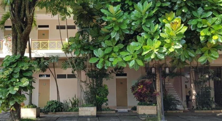 Hotel Sulawesi เจมเบอร์ ภายนอก รูปภาพ